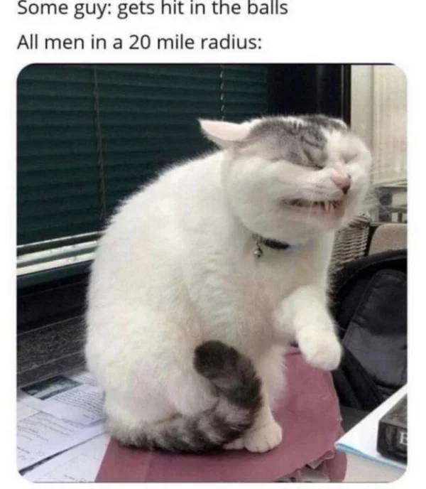 Men, Your Memes Have Arrived