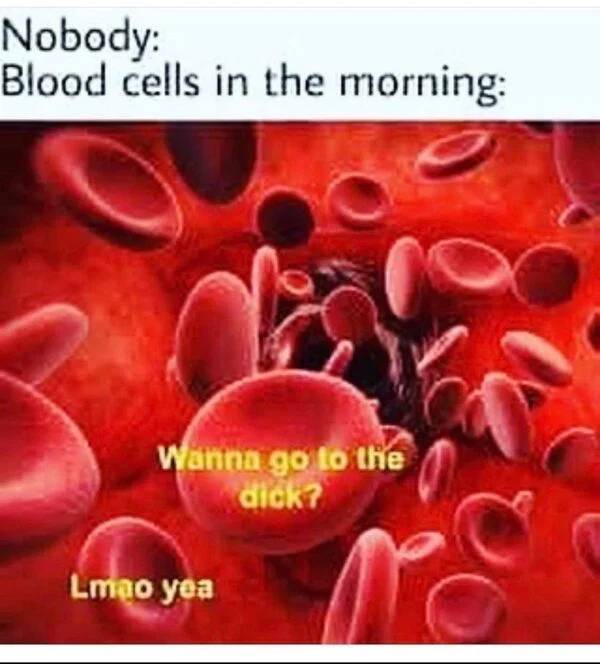 Want Some Spicy Sex Memes?