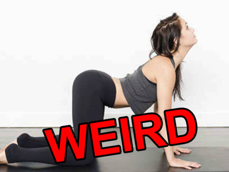 Women Do Some Weird NSFW Stuff…