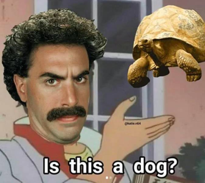 Very Explicit “Borat” Memes