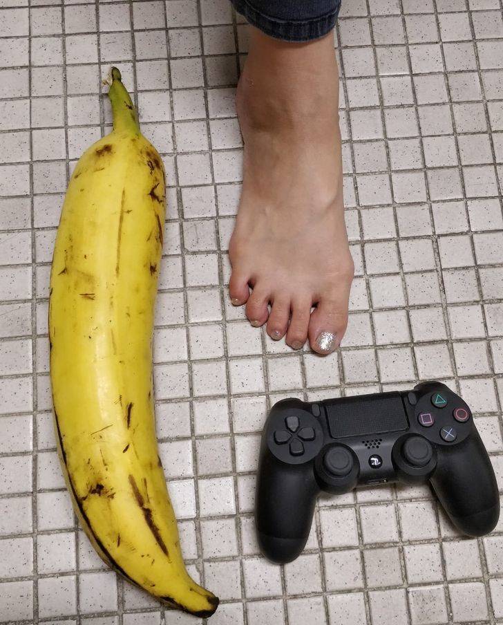 Comparisons Show Everything You Need To Know