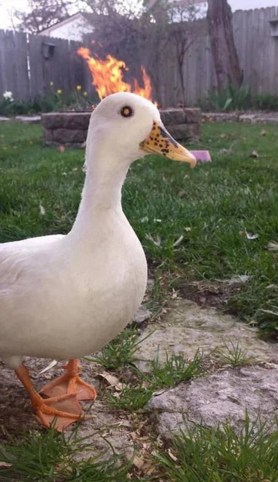 Wanna Know Some NSFW Facts?