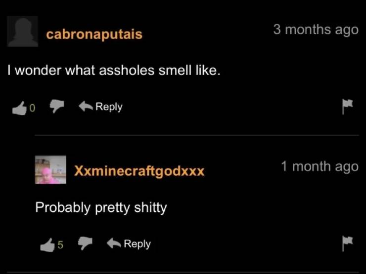 “Pornhub” Comment Section Is Something Special…