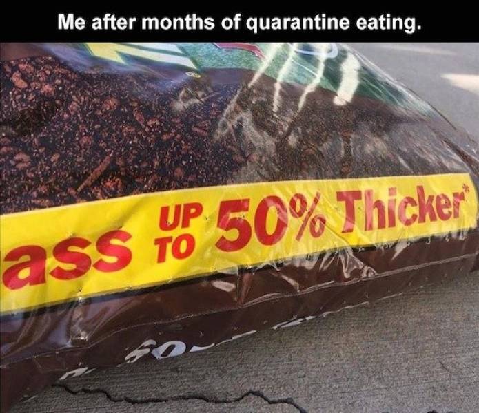 Dirty Minds, Assemble!