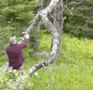 Dirty Minds, Assemble!