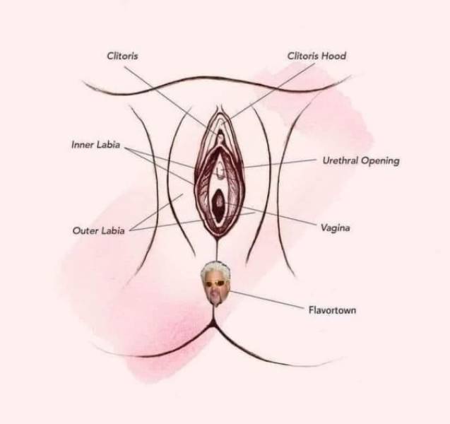 These Sex Memes Are So Hard!