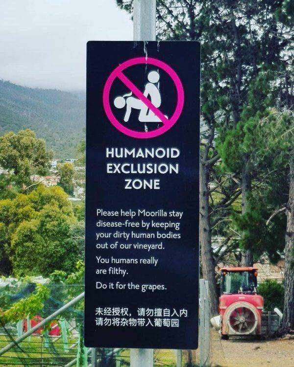 Dirty Mind, Come Here!