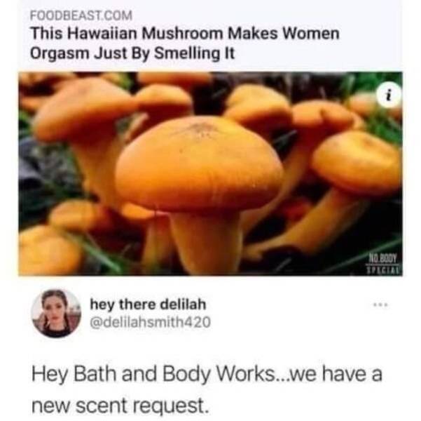 Need Some Dirty Memes?