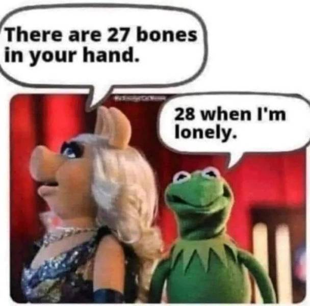 These Sex Memes Are Naughty!