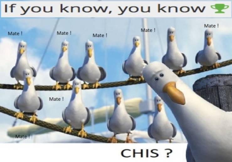 These Sex Memes Are Naughty!