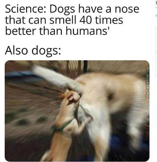 Where’s Your Dirty Mind?