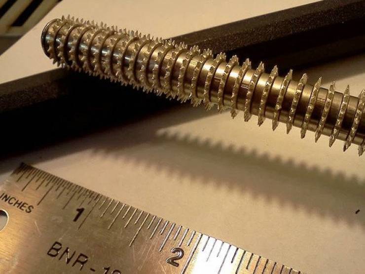 What In The World Is That?!