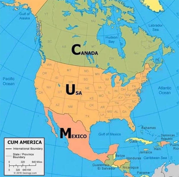 These Jokes Were 100% Intentional…