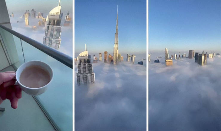 Things That Are EXTREMELY Big!