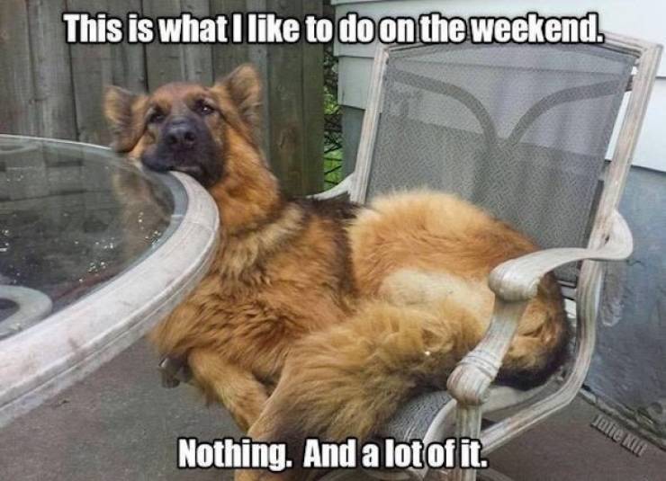 They Are 100% Drunk!