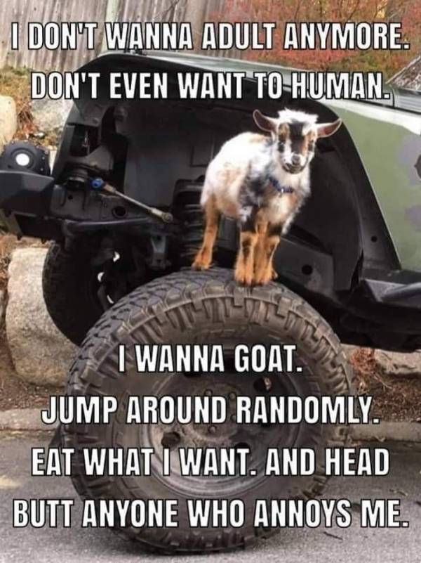 Show Your Dirty Mind!