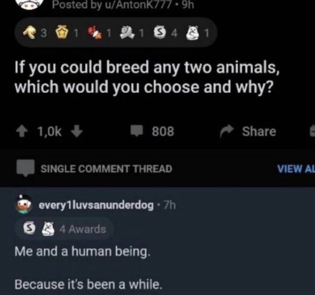 It’s Horny Jail For You!