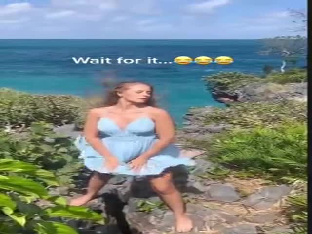 Oh Wind, You Cheeky…