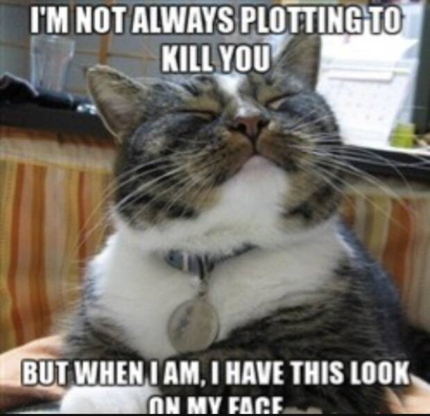 Dirty Minds, Assemble!