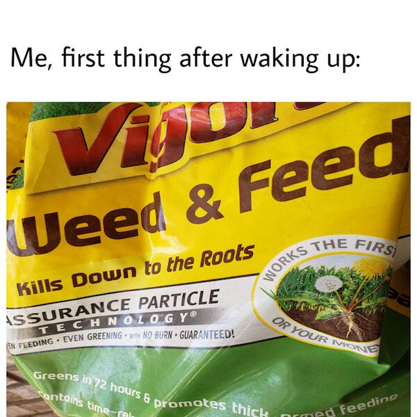 These Memes Are Way Too High!