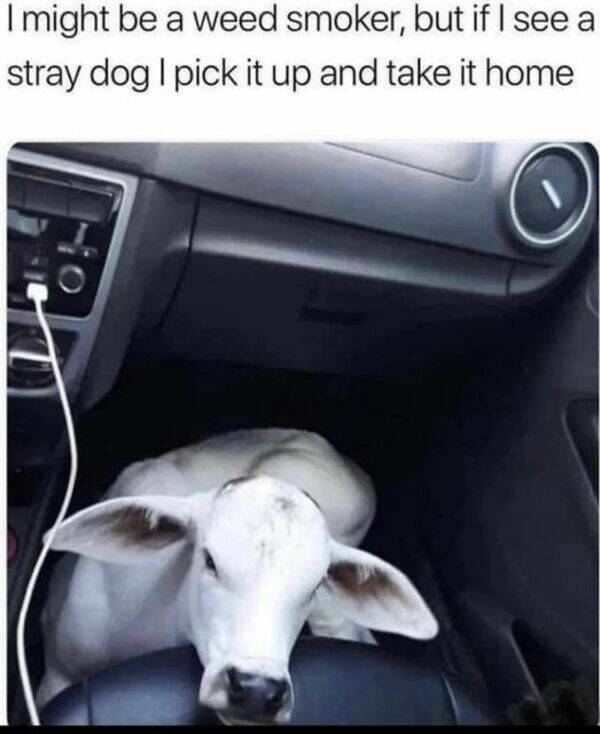 Dirty, Isn’t It?