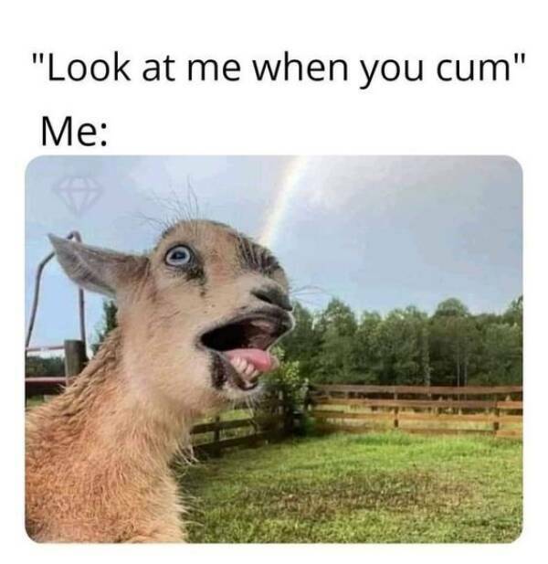 Dirty, Isn’t It?
