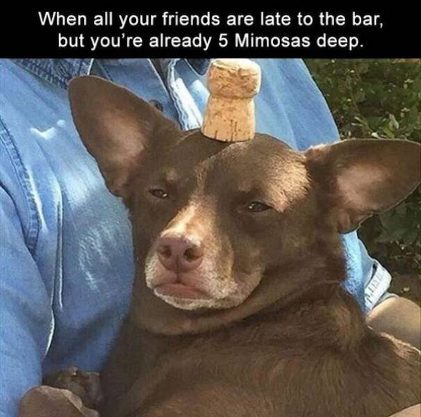 How Wasted Are They?!