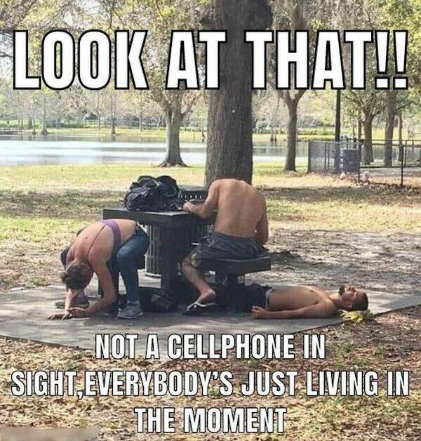 How Wasted Are They?!