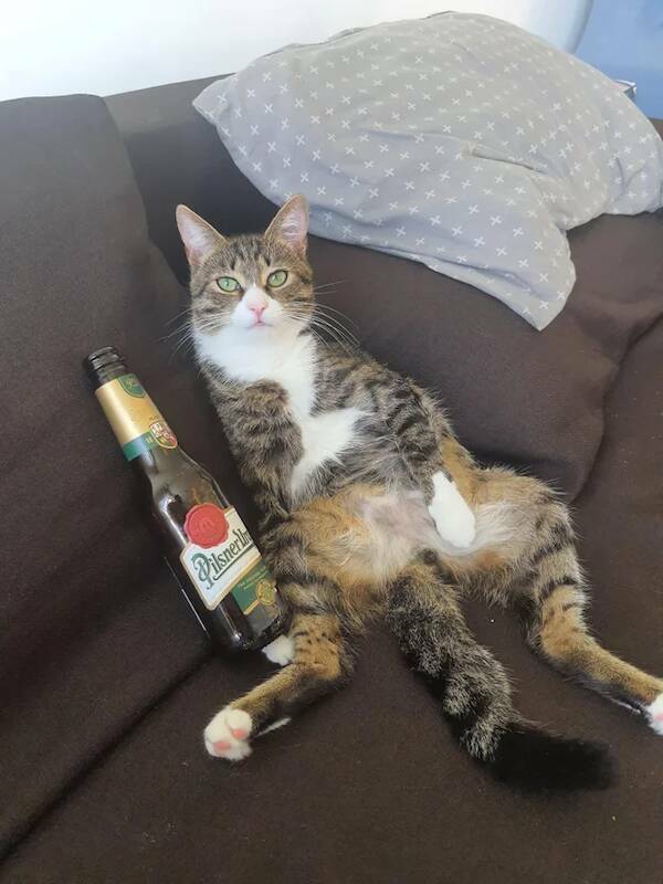 Cheers, Everyone!