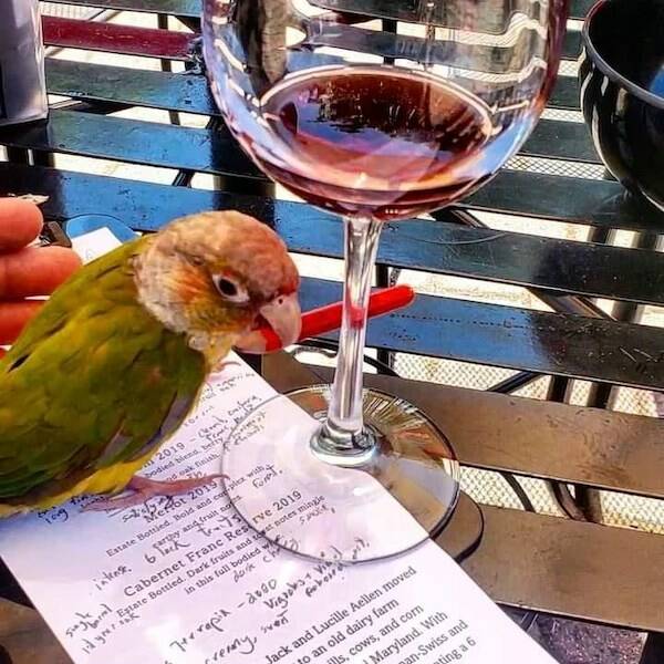 Cheers, Everyone!