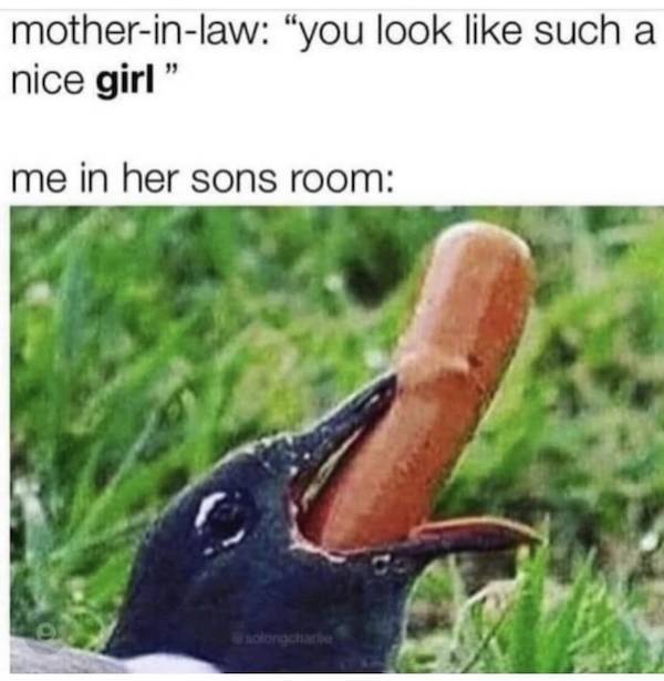 Feed The Dirty Mind!