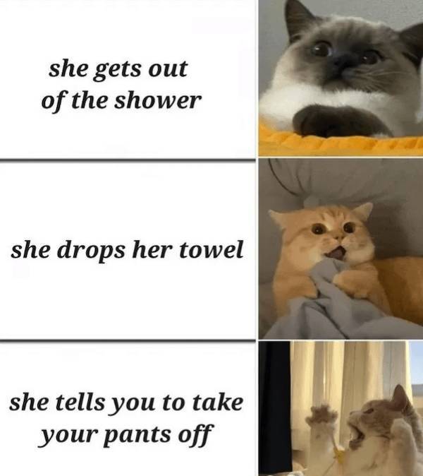 Dirty Memes Only!