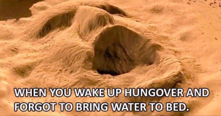 Cure Your Hangover With This Batch Of Memes
