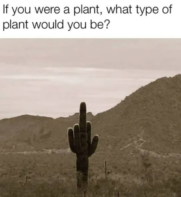 Yep, That