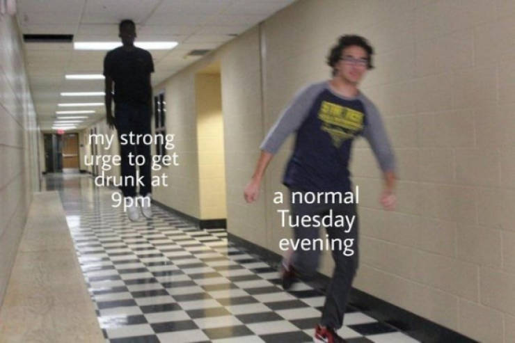 These Memes Are Already Drunk…