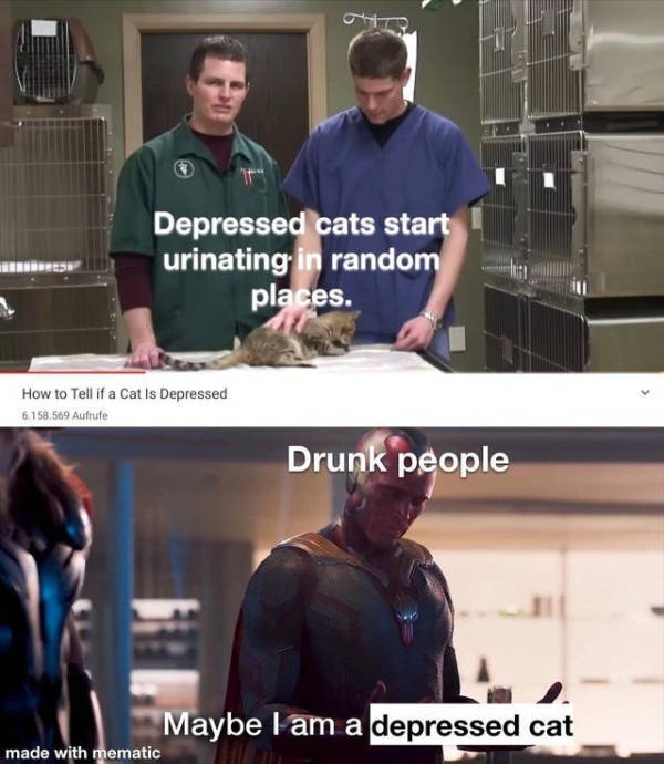 These Memes Are Already Drunk…