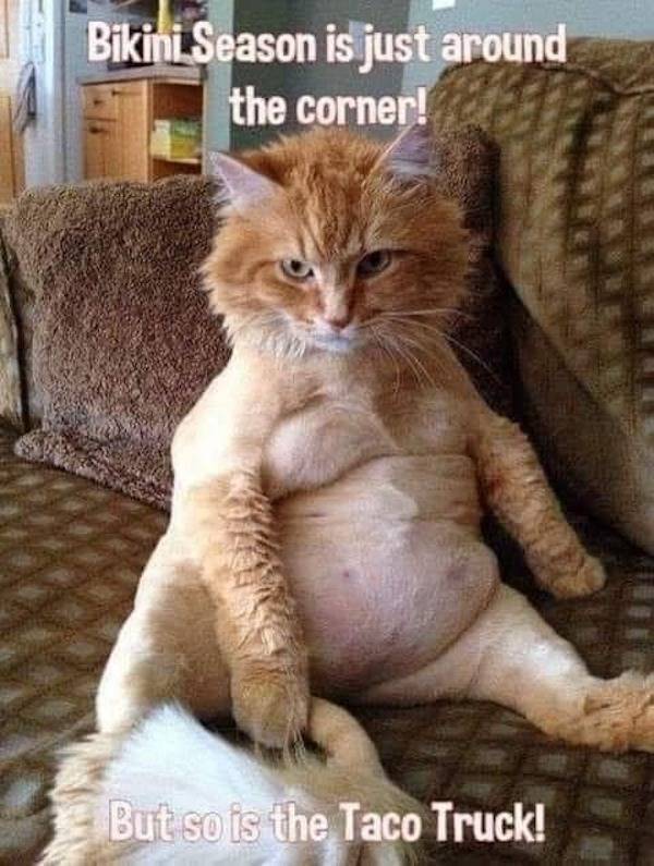 Ooh, So Dirty!