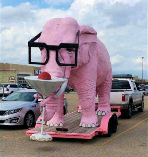 They’ll Never Stop Drinking…