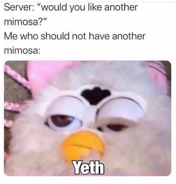 They’ll Never Stop Drinking…