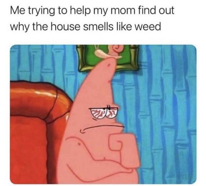 These Stoner Memes Are Already High…