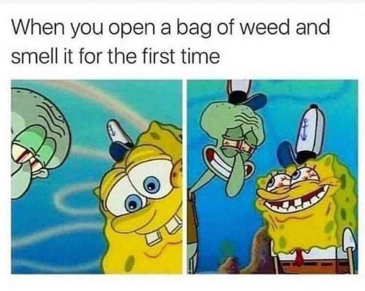 These Stoner Memes Are Already High…