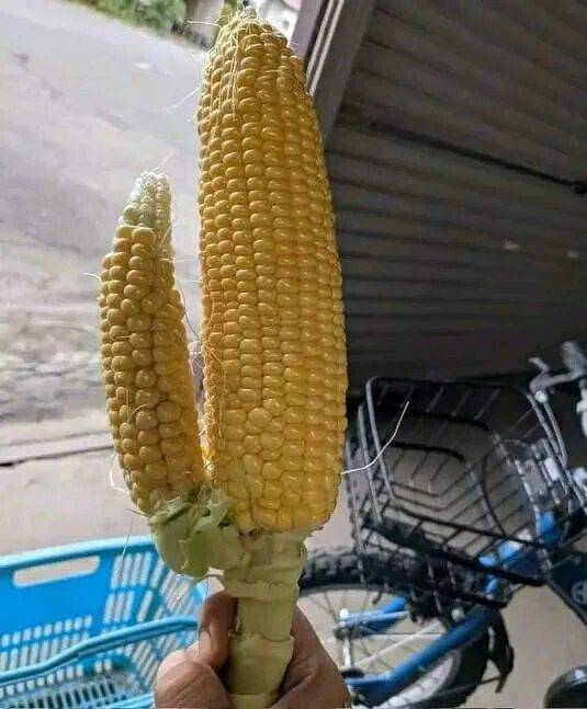 Dirty Mind, Come Here!