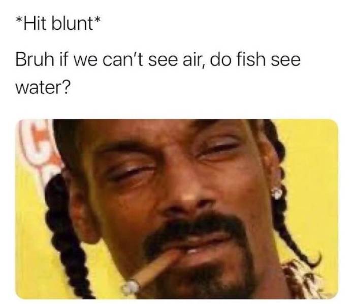 These Stoner Memes Are Already High…