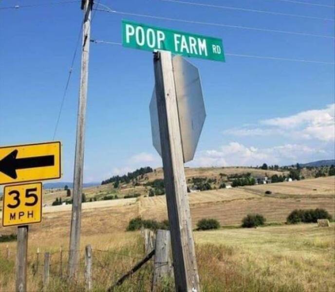 Yep, That