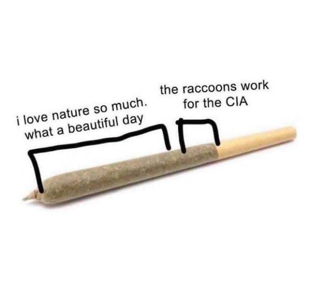 These Stoner Memes Are Already High…