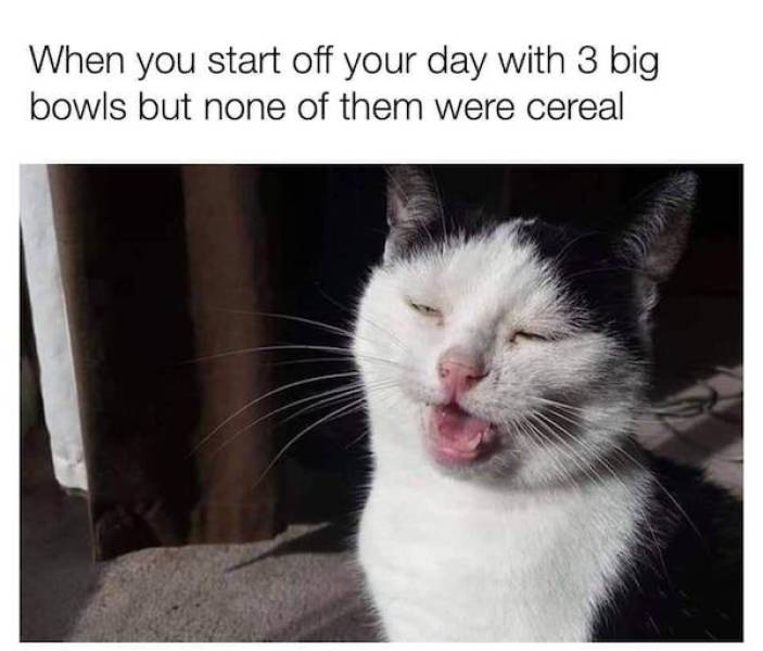 These Stoner Memes Are Already High…