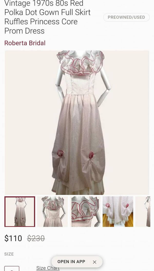 The Craziest And Wildest Wedding Dresses Ever Seen