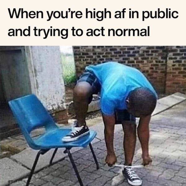 These Memes Are Already Stoned