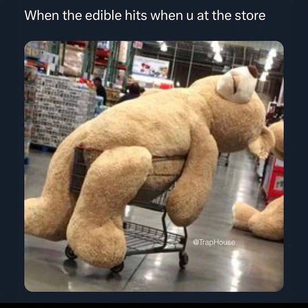 These Memes Are Already Stoned