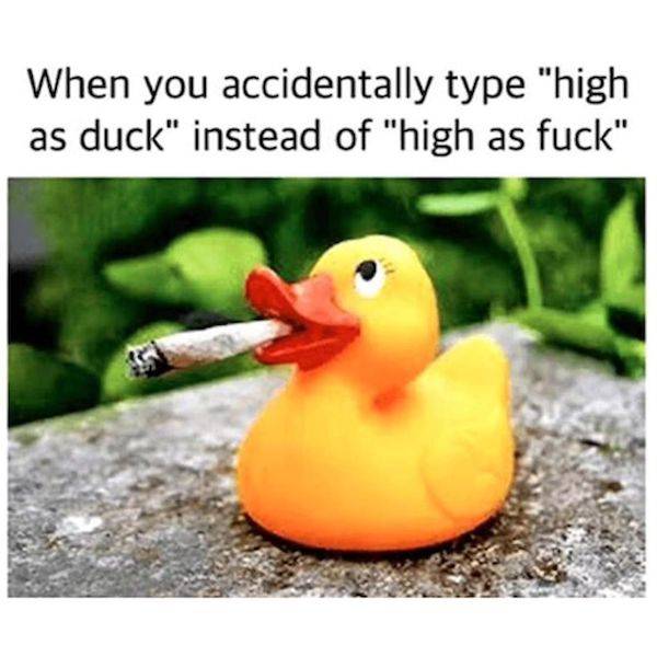 These Memes Are Already Stoned